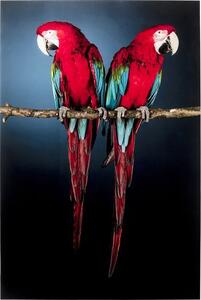 Slika Twin Parrot 80x120 cm