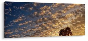 Slika - Palme među oblacima (120x50 cm)