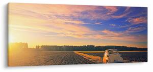 Slika žutog automobila u polju (120x50 cm)