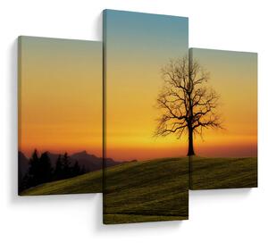 Slika stabla u polju (90x60 cm)