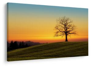 Slika stabla u polju (90x60 cm)