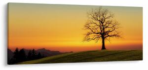 Slika stabla u polju (120x50 cm)