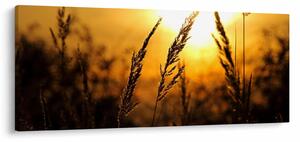 Slika zalazećeg sunca (120x50 cm)