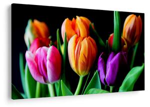 Slika tulipana na crnoj pozadini (90x60 cm)