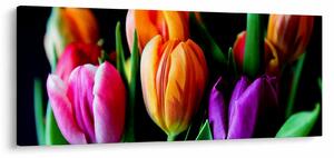Slika tulipana na crnoj pozadini (120x50 cm)