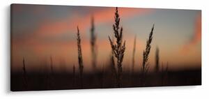 Slika - Silueta biljke (120x50 cm)