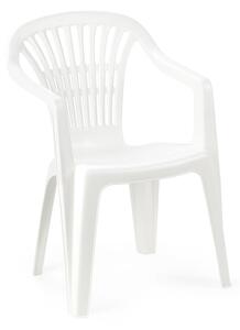 Plastična stolica Scilla bijela 54x53x80 cm