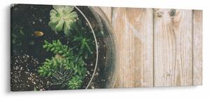 Slika sukulenata u staklu (120x50 cm)