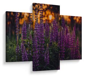 Slika cvjetova lupine (90x60 cm)