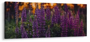 Slika cvjetova lupine (120x50 cm)