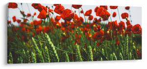Slika maka na vjetru (120x50 cm)