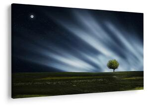 Slika polarne svijetlosti iznad polja vrijeska (90x60 cm)