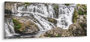 Slika - Brzaci na vodi (120x50 cm)