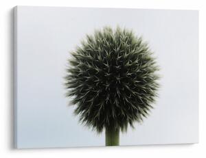 Slika cvjetne kugle (70x50 cm)