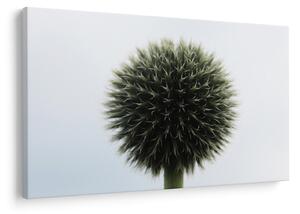 Slika cvjetne kugle (90x60 cm)