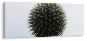 Slika cvjetne kugle (120x50 cm)