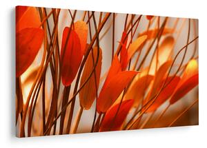 Slika cvijetnih latica (90x60 cm)
