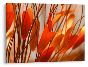 Slika cvijetnih latica (70x50 cm)