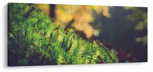 Slika mahovine sa gljivom (120x50 cm)