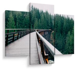 Slika - Most do vrhova drveća (90x60 cm)