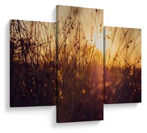 Slika polja pri zalasku sunca (90x60 cm)