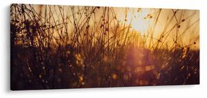 Slika polja pri zalasku sunca (120x50 cm)