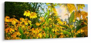 Slika žutog cvijeća (120x50 cm)
