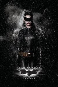Ilustracija The Dark Knight Trilogy - Catwoman, (26.7 x 40 cm)