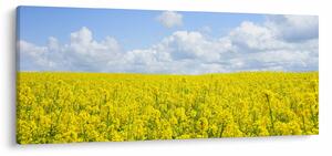 Slika žutog polja (120x50 cm)