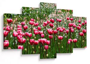 Slika tulipana (150x105 cm)
