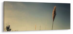 Slika sa travom (120x50 cm)