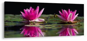 Slika lokvanja na vodi (120x50 cm)
