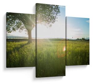 Slika stabla u polju (90x60 cm)