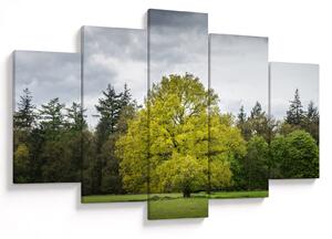 Slika zelenog stabla usred polja (150x105 cm)
