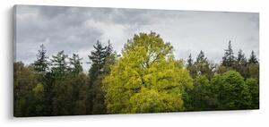 Slika zelenog stabla usred polja (120x50 cm)
