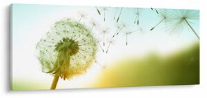 Slika - Maslačak na vjetru (120x50 cm)