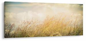 Slika - Polje u jesen (120x50 cm)