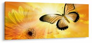 Slika - Žuti leptir s cvijetom (120x50 cm)