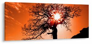 Slika - Stablo hrasta pri zalasku sunca (120x50 cm)