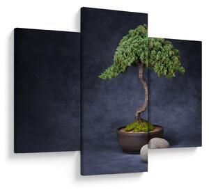 Slika - Bonsai (90x60 cm)