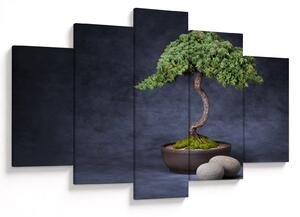 Slika - Bonsai (150x105 cm)