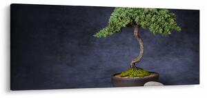 Slika - Bonsai (120x50 cm)