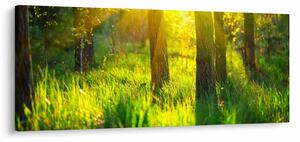 Slika - Proljetno buđenje šume (120x50 cm)