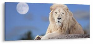 Slika - Bijeli lav (120x50 cm)