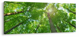 Slika - Šuma (120x50 cm)