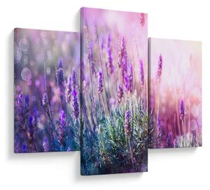 Slika - Lavanda u sjaju sunca (90x60 cm)