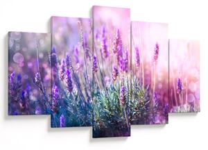Slika - Lavanda u sjaju sunca (150x105 cm)