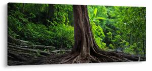 Slika - Staro drvo s korijenjem (120x50 cm)