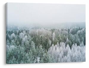 Slika - Snježni šumski vrhovi (70x50 cm)