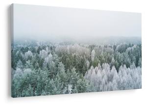Slika - Snježni šumski vrhovi (90x60 cm)